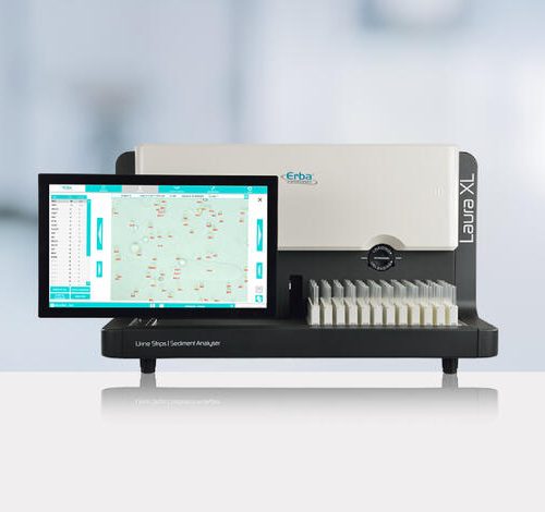 erbalauraxl Erba Laura XL